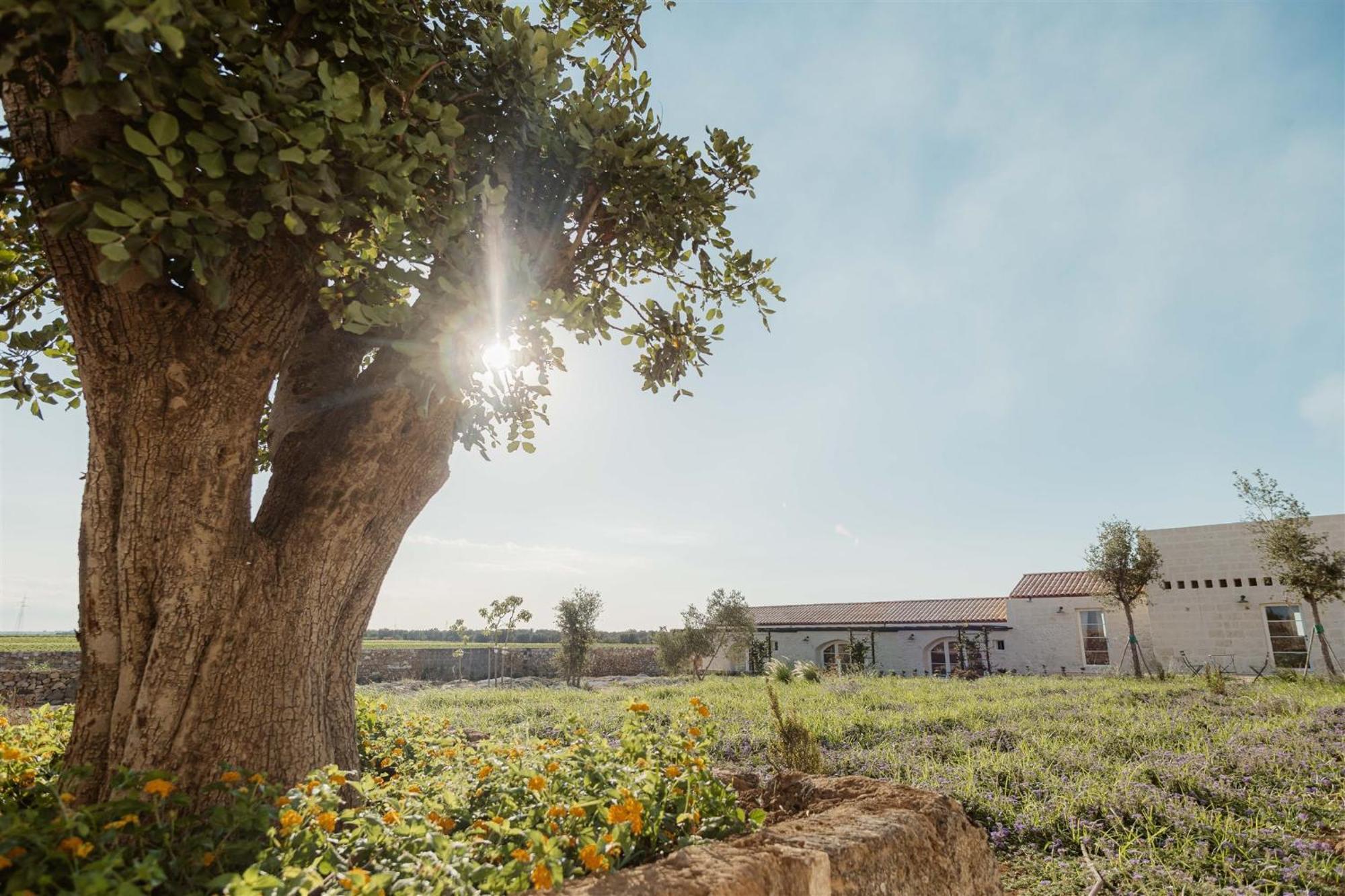 Masseria Vaccaro By Raro Villas - Self Check-In Brindisi Exterior foto