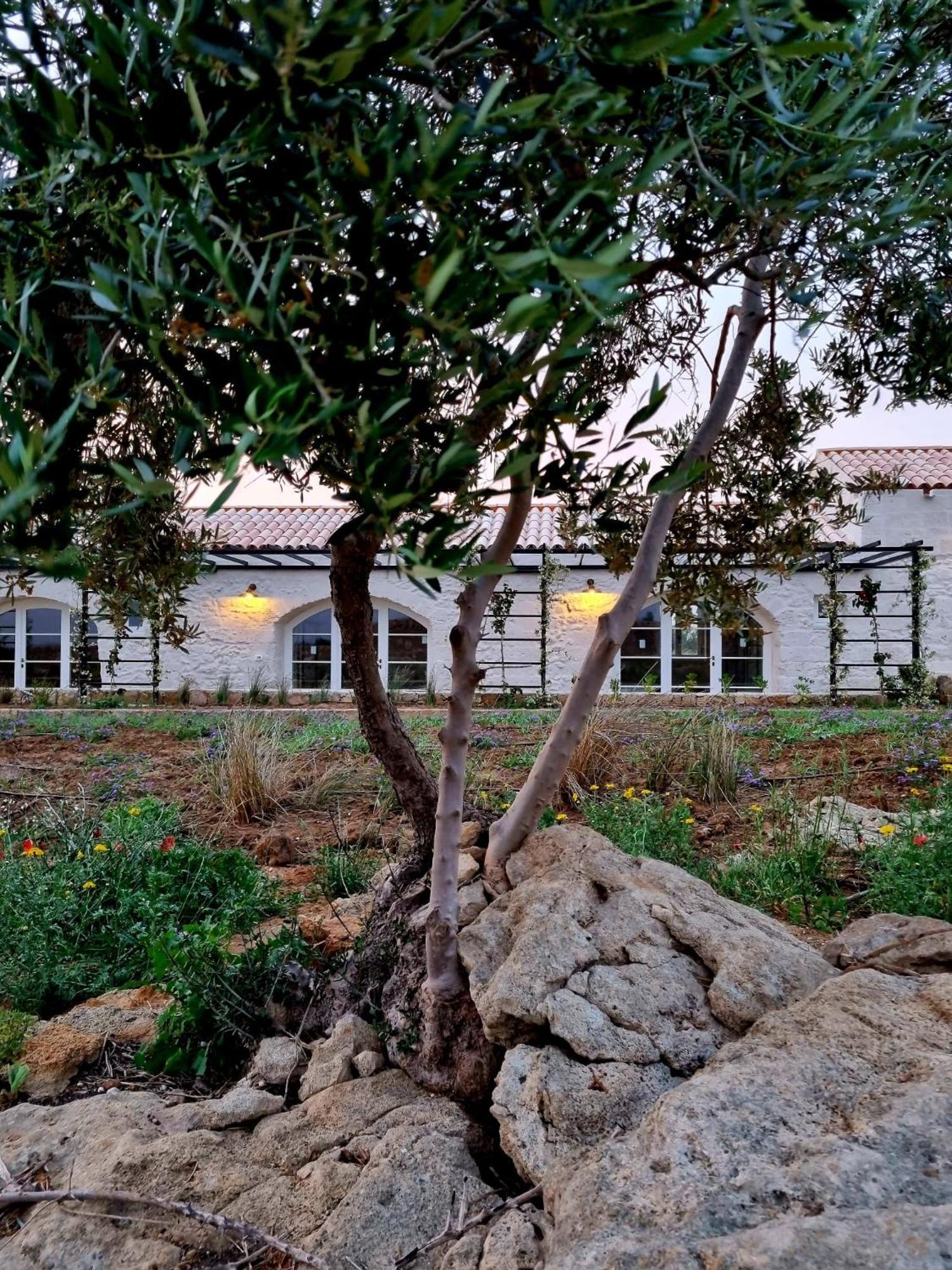 Masseria Vaccaro By Raro Villas - Self Check-In Brindisi Exterior foto